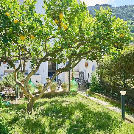 Il Cellaio Pensión Anacapri (Isola di Capri)
