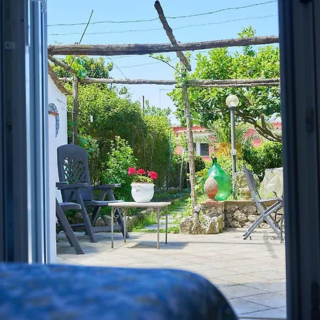 Il Cellaio Pensión Anacapri (Isola di Capri)
